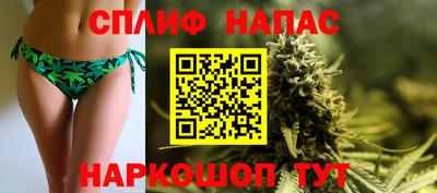 не бодяженный Камышлов