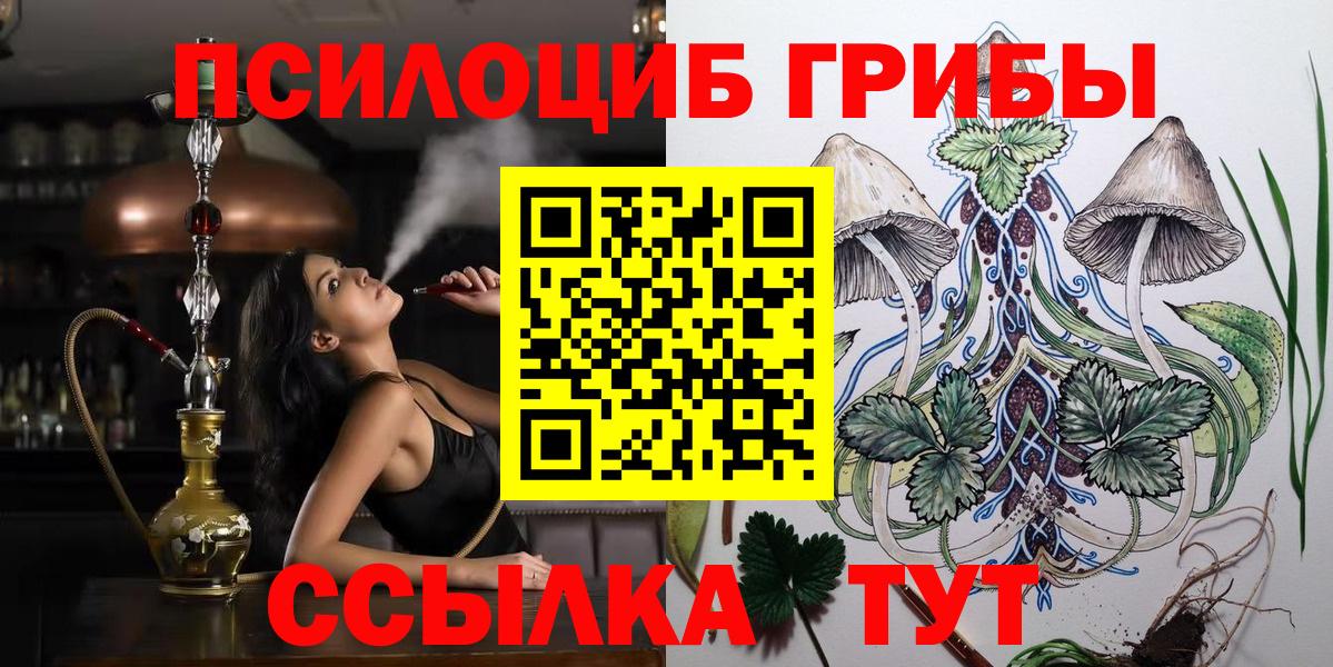 Псилоцибиновые грибы Psilocybine cubensis  Вход с VPN  Кировск  Псилоцибиновые грибы Cubensis 