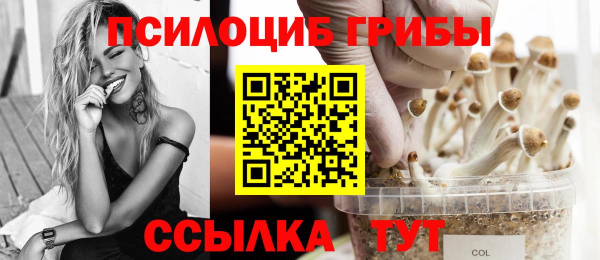 Галлюциногенные грибы Magic Shrooms Кировск